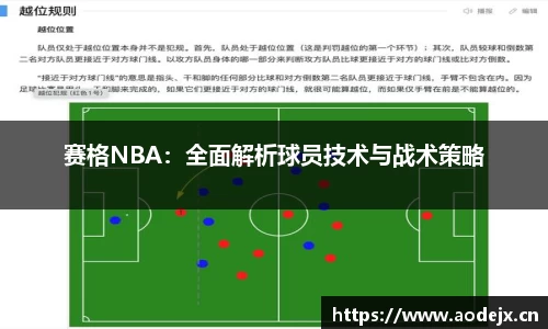 赛格NBA：全面解析球员技术与战术策略